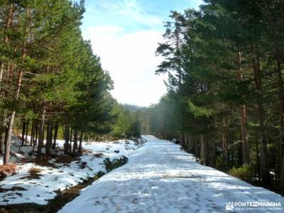 Picos Urbión-Laguna Negra Soria;viajes a medida parque natural del estrecho ocejon juniperus thurif